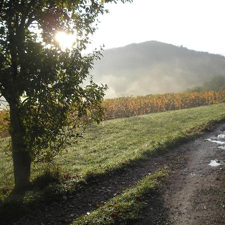grange rénovée en pleine nature Valady Esterno foto