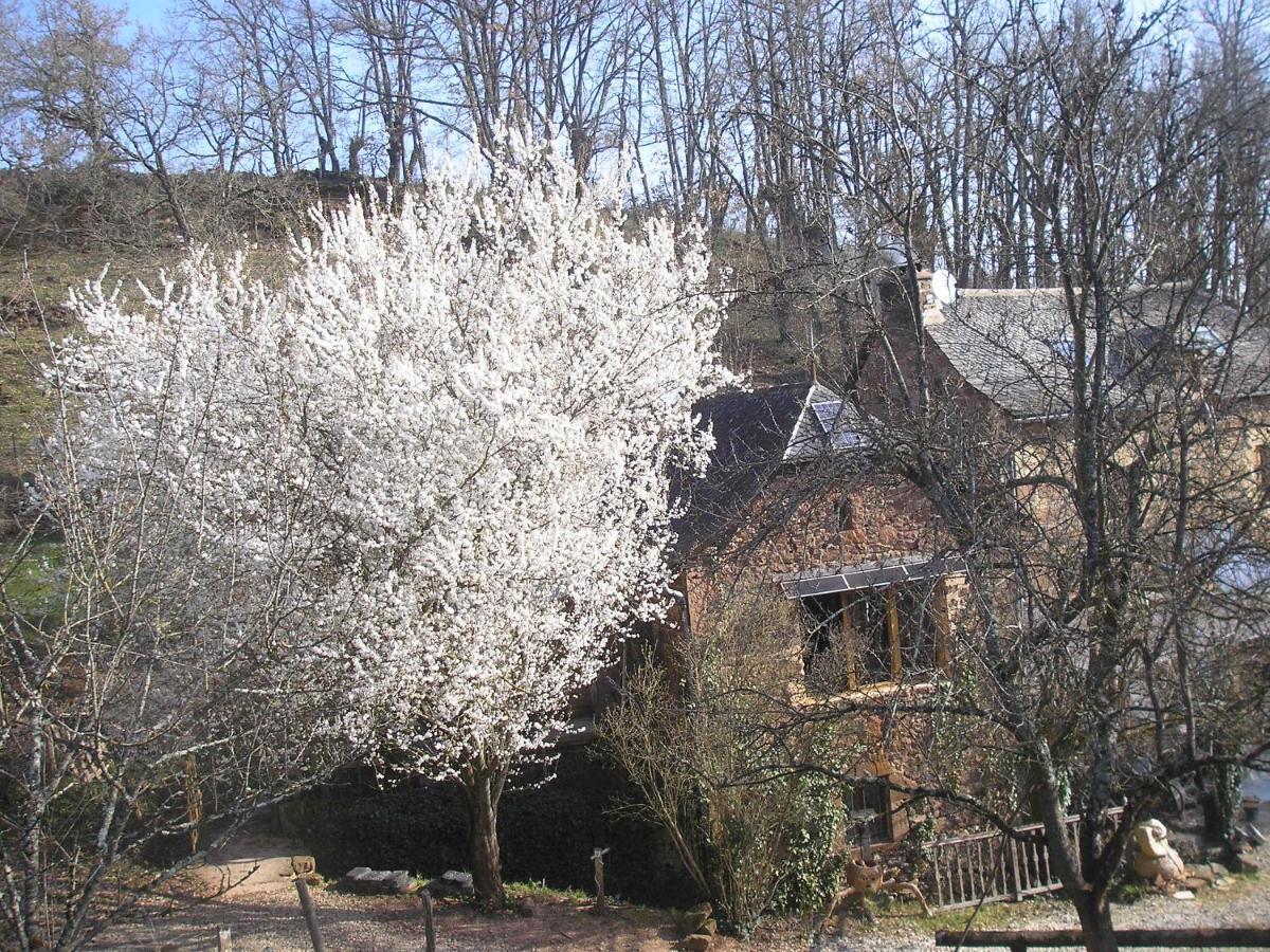 grange rénovée en pleine nature Valady Esterno foto