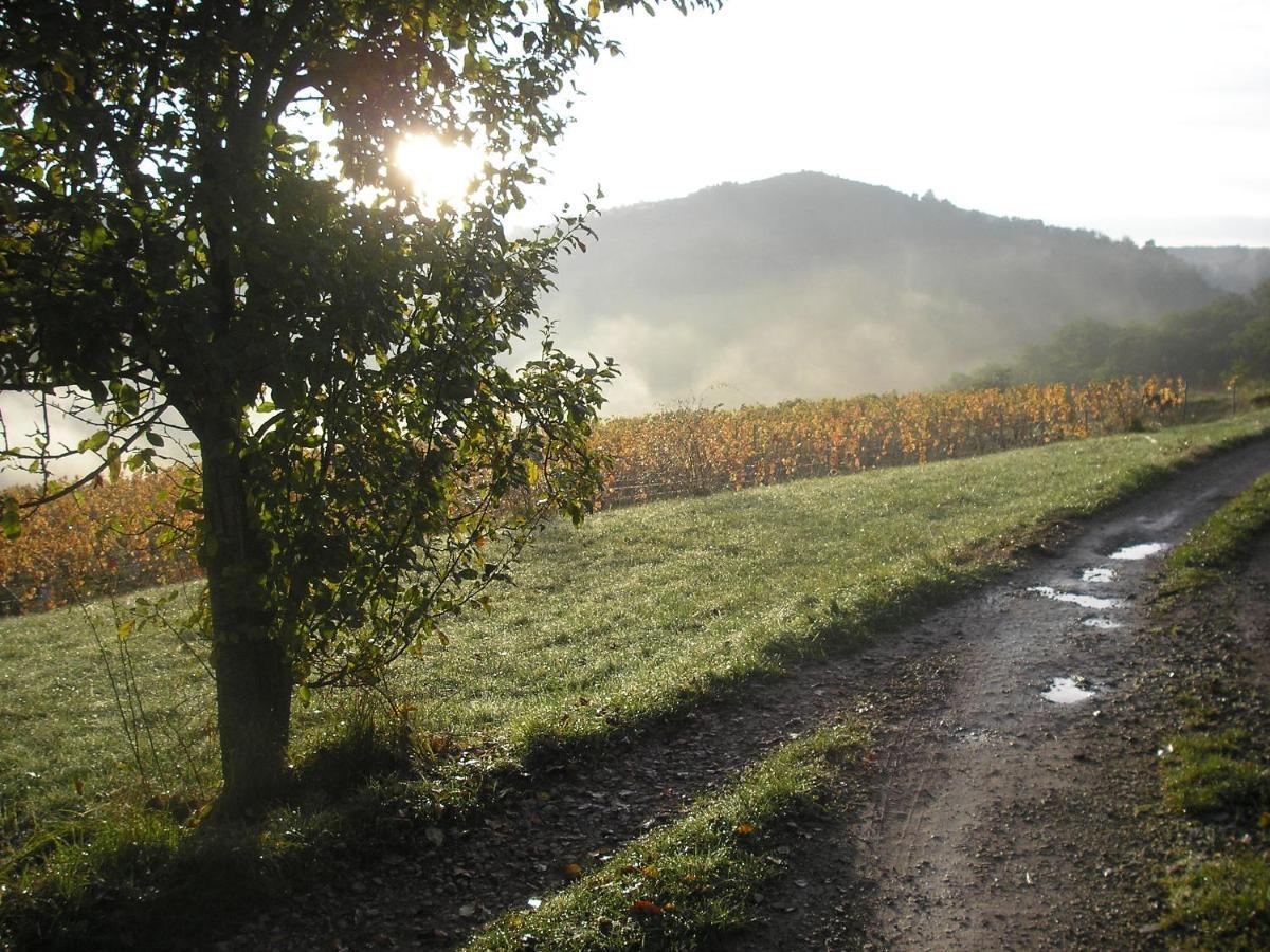 grange rénovée en pleine nature Valady Esterno foto